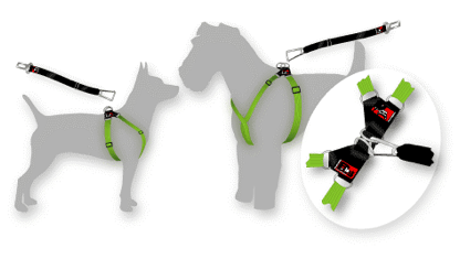 Dog Harness (small) BEST FOR PUPPIES!